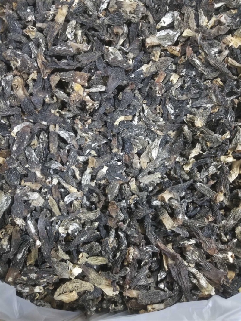 特价150/斤云南羊肚菌圆通包邮当天发货