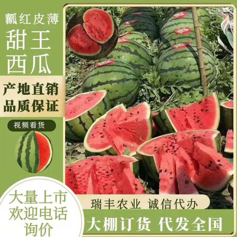 [甜王西瓜批发]山东潍坊潍城区西瓜 0.40元/斤山东西瓜 甜王 _ 一亩田