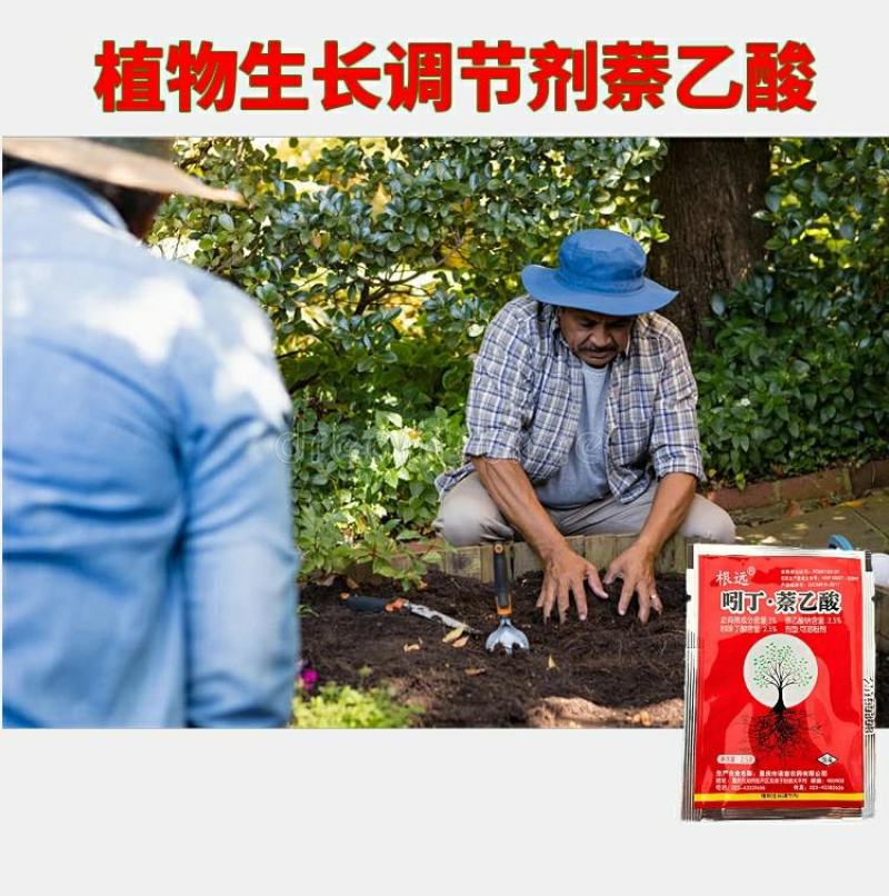 5%吲丁·萘乙酸植物促根生长移栽壮苗花卉苗木扦插育苗生根