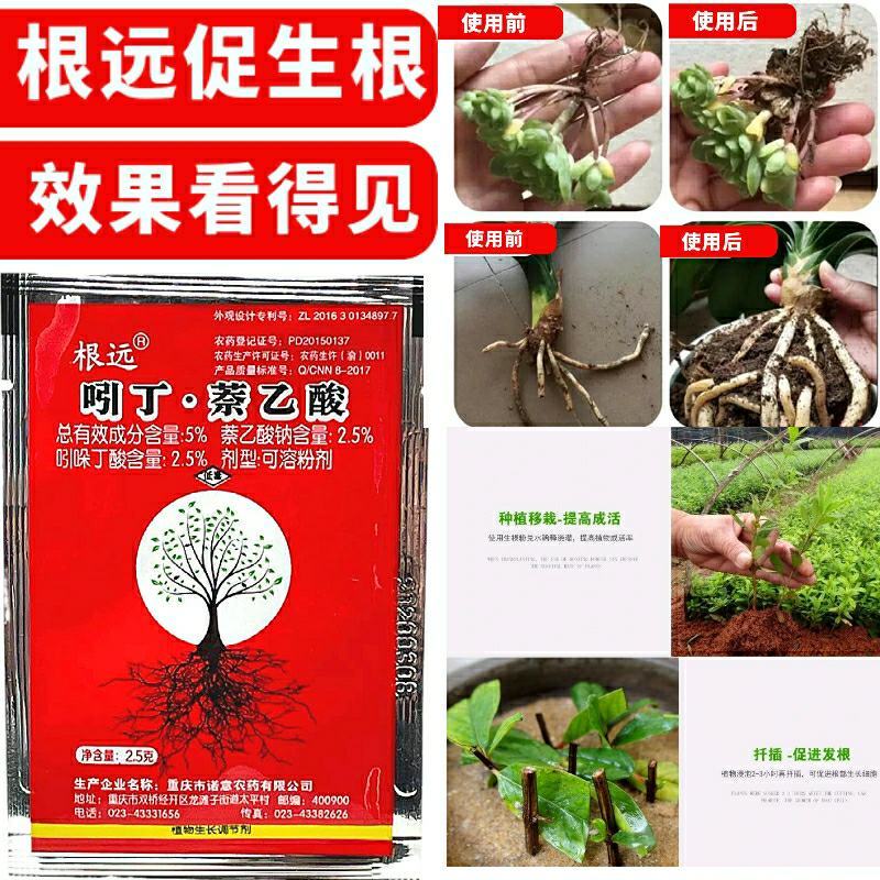 5%吲丁·萘乙酸植物促根生长移栽壮苗花卉苗木扦插育苗生根
