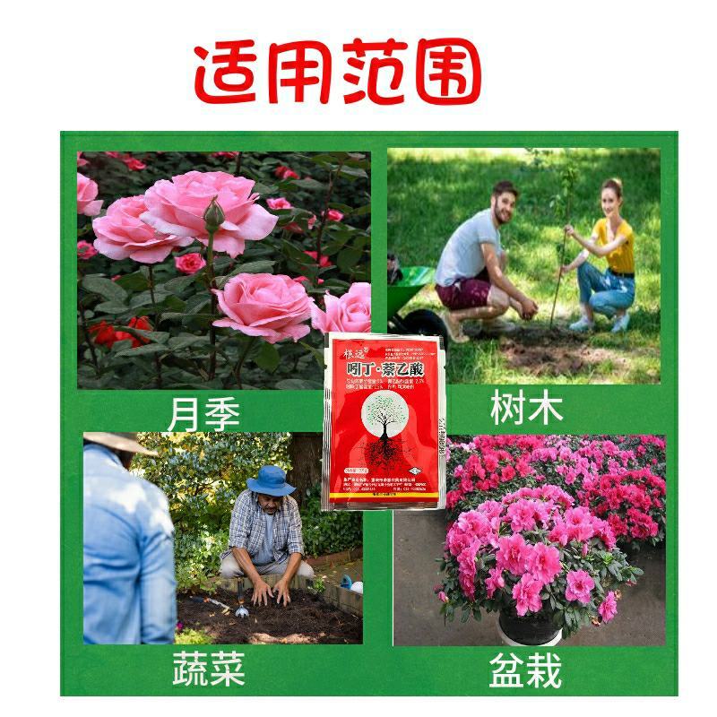 5%吲丁·萘乙酸植物促根生长移栽壮苗花卉苗木扦插育苗生根