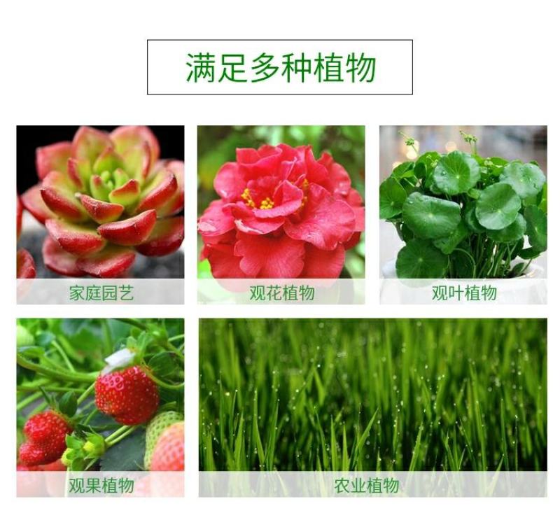 5%吲丁·萘乙酸植物促根生长移栽壮苗花卉苗木扦插育苗生根