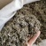 艾叶全叶统各种中药材批发质量保证产地直销