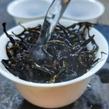 潮州凤凰茶胶己人的功夫茶茶多酚绿色健康