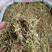 伸筋草伸筋草各种草类中药材批发伸筋草批发