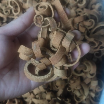 广西桂丝刮皮靓货足干