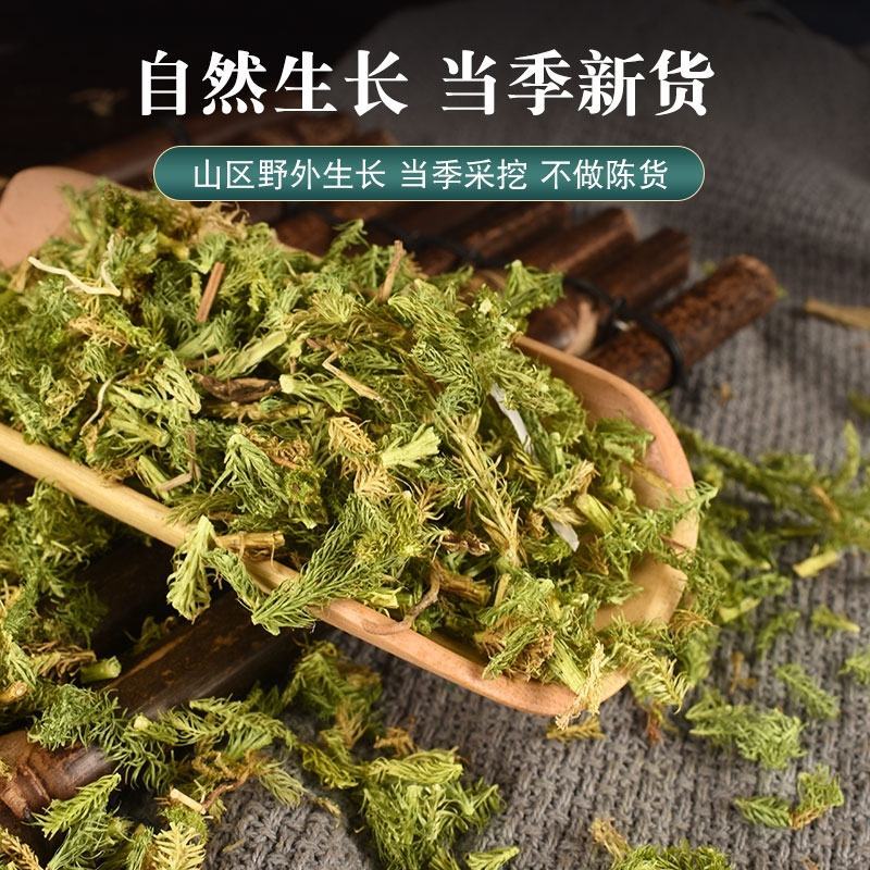 伸筋草伸筋草各种草类中药材批发伸筋草批发