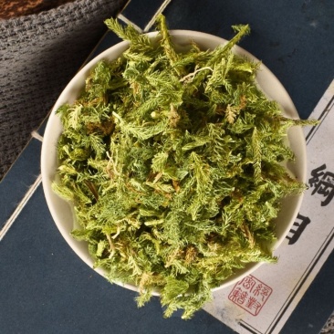 伸筋草伸筋草各种草类中药材批发伸筋草批发