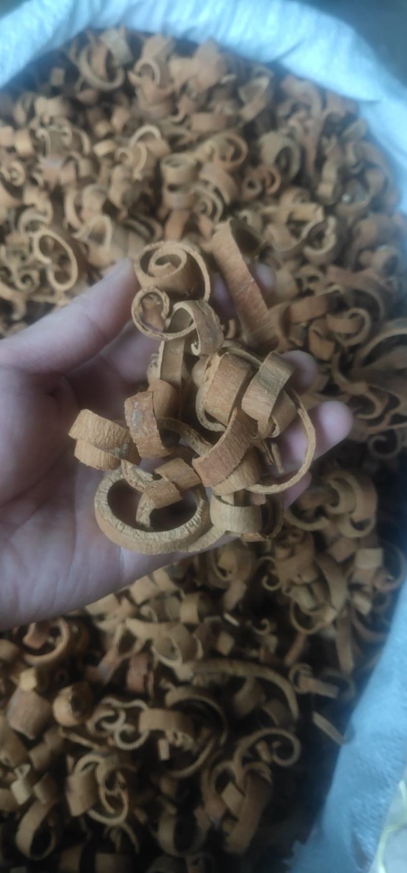 广西桂丝刮皮靓货足干