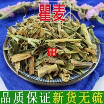 云南野生中药材瞿麦巨麦翟麦石竹山瞿麦竹节草