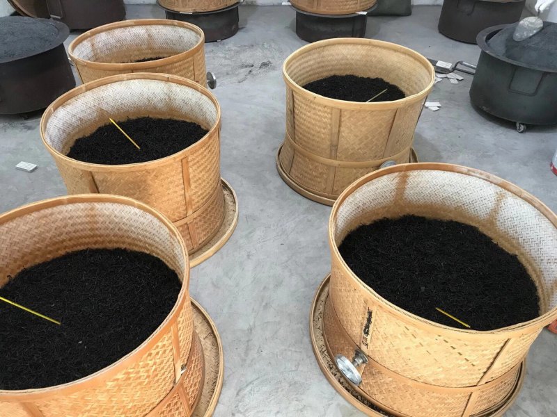 潮州凤凰茶胶己人的功夫茶茶多酚绿色健康