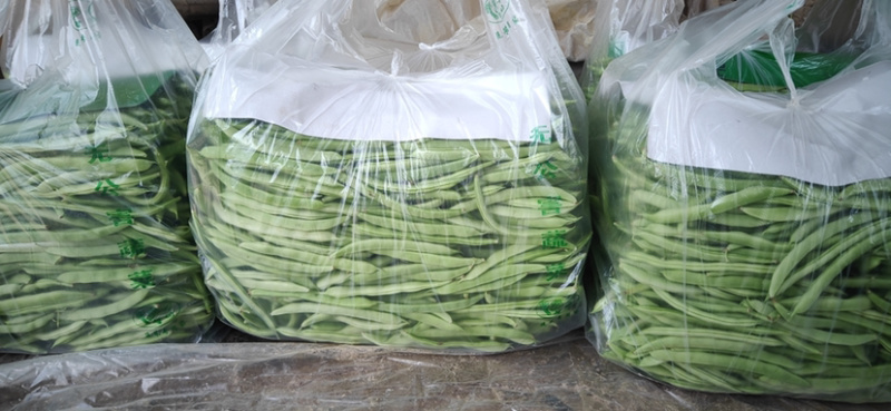 山东菏泽四季豆。芸豆油豆。大白