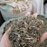 透骨草各种草类中药材批发各种规格中药材可私聊店主