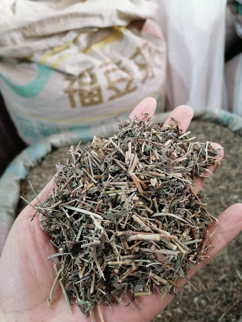透骨草各种草类中药材批发各种规格中药材可私聊店主