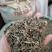 透骨草各种草类中药材批发各种规格中药材可私聊店主