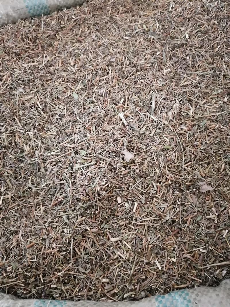 透骨草各种草类中药材批发各种规格中药材可私聊店主