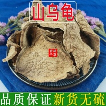 云南野生中药材白药子白药根山乌龟包邮