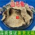 云南野生中药材白药子白药根山乌龟包邮