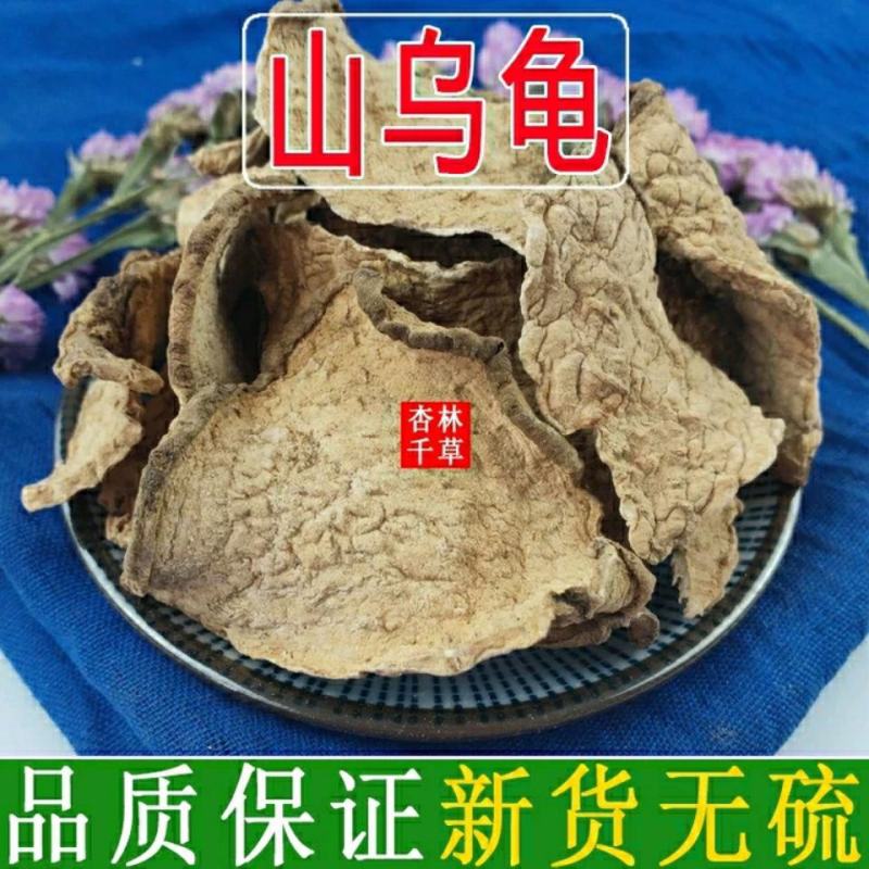 云南野生中药材白药子白药根山乌龟包邮