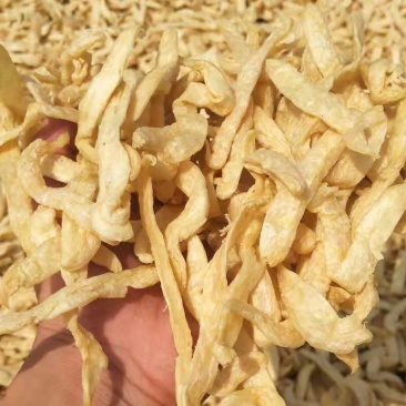 豆鱼豆耳凉皮豆制品干货跑江湖批发现货