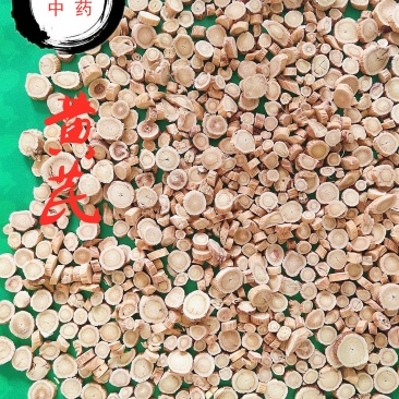 黄芪甘肃黄芪精品黄芪