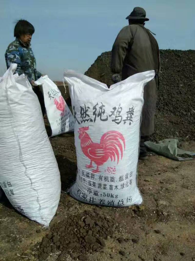 鸡粪块天然纯鸡粪颗粒发酵纯鸡粪高标准农田有机肥生物有机肥