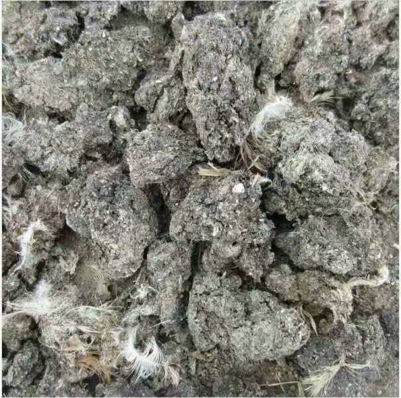 鸡粪块天然纯鸡粪颗粒发酵纯鸡粪高标准农田有机肥生物有机肥