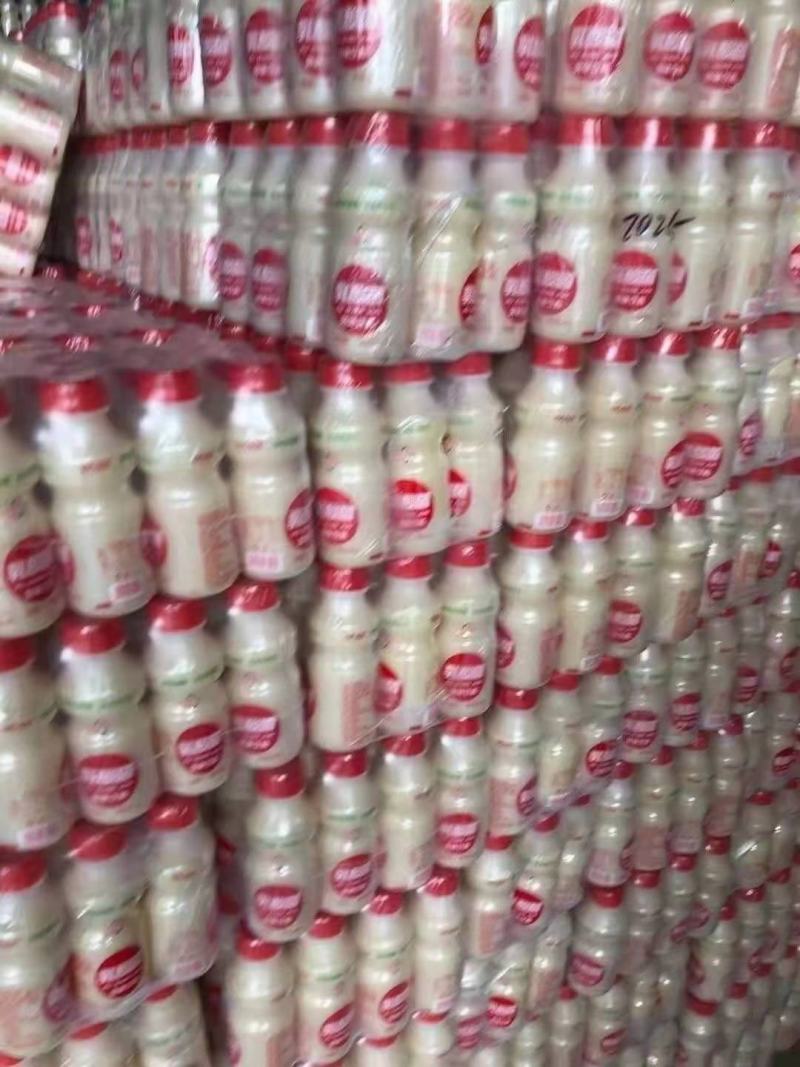 福建达利园乳酸菌河南达利园嘉冠乳酸菌地摊经济货源批发