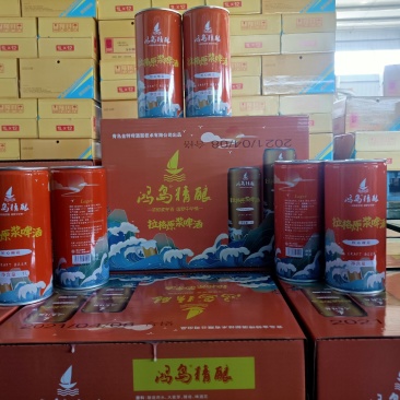 青岛原浆拉格新外观，鸿岛精酿全新招商，加盟即可代理