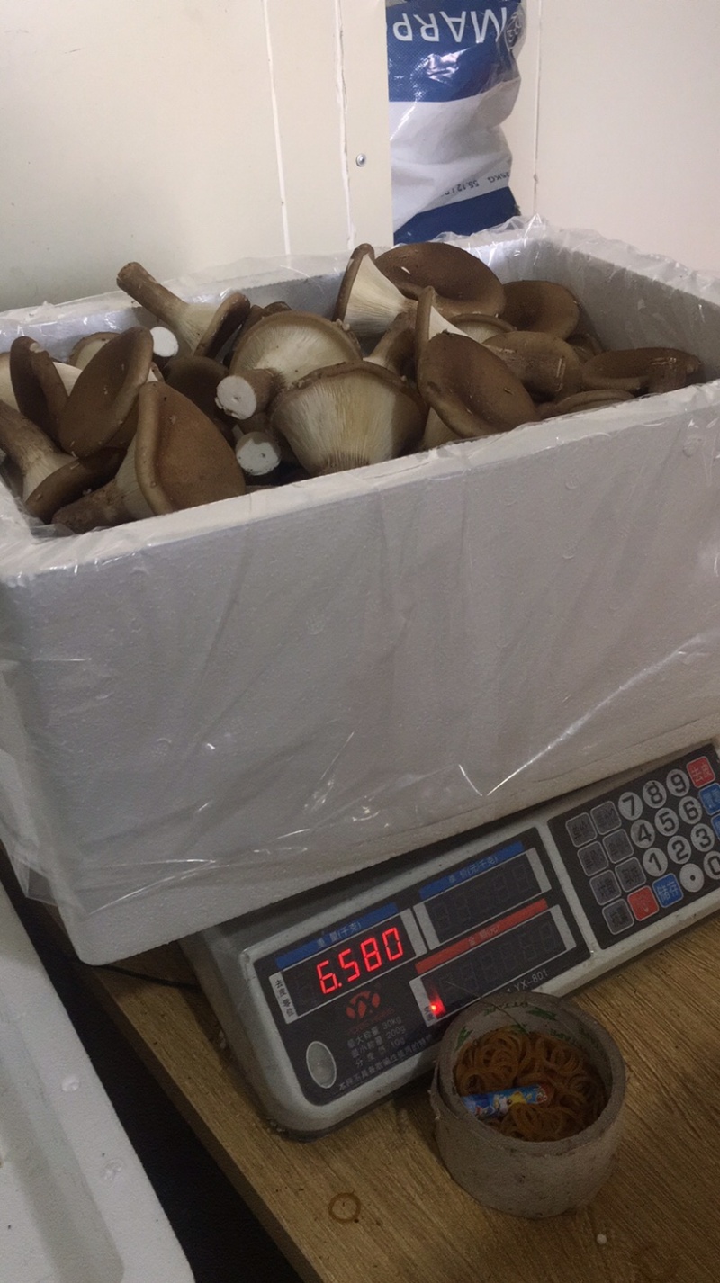 各种菌类特价，厂方直销