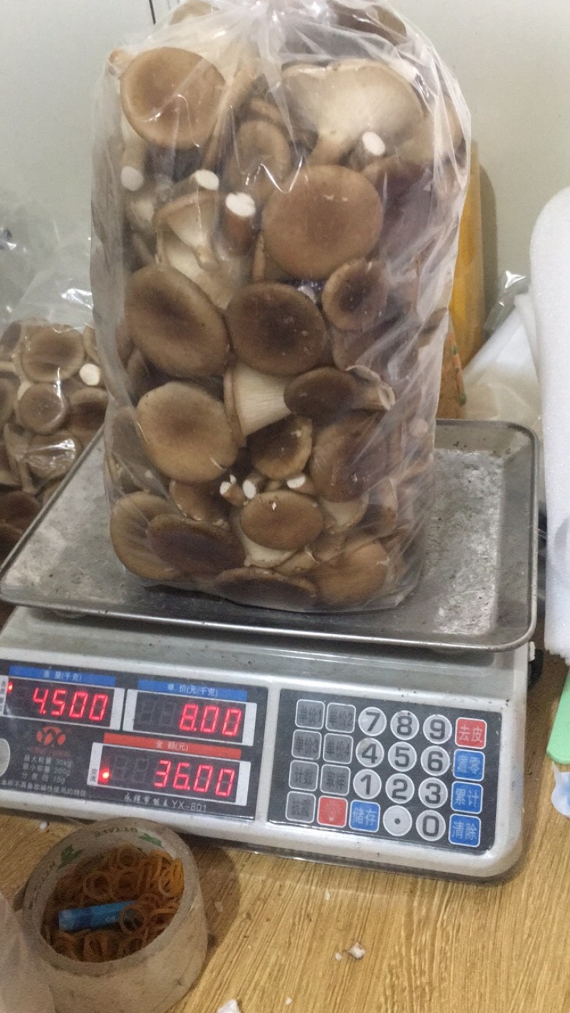 各种菌类特价，厂方直销