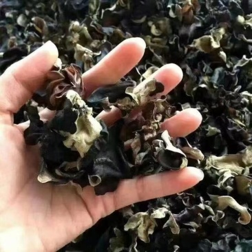 水洗木耳毛木耳地摊货源整件批发