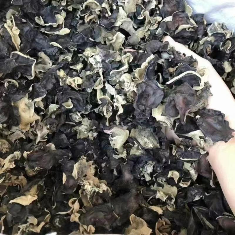 水洗木耳毛木耳地摊货源整件批发
