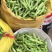 大青豆四月中旬大量上市，价格随行情，欢迎大家关注