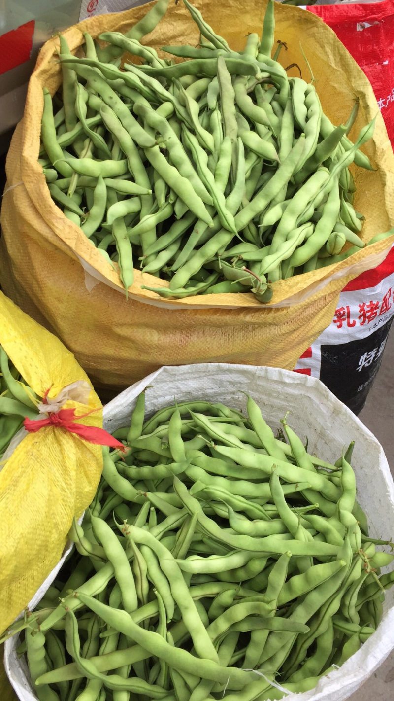 大青豆四月中旬大量上市，价格随行情，欢迎大家关注
