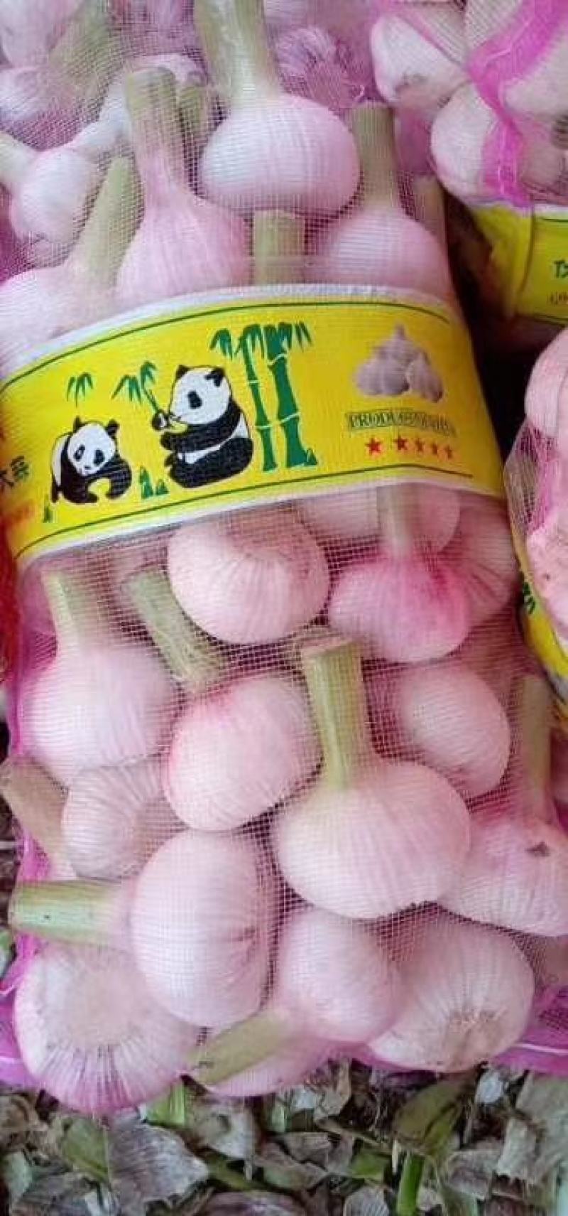 新鲜大蒜毛蒜2025新鲜大蒜头，去皮大蒜，代发全国
