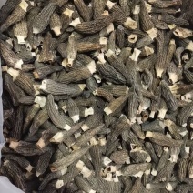 羊肚菌产地做货一手货源代发，整件发。来自大山的原生态食材
