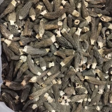 羊肚菌产地做货一手货源代发，整件发。来自大山的原生态食材