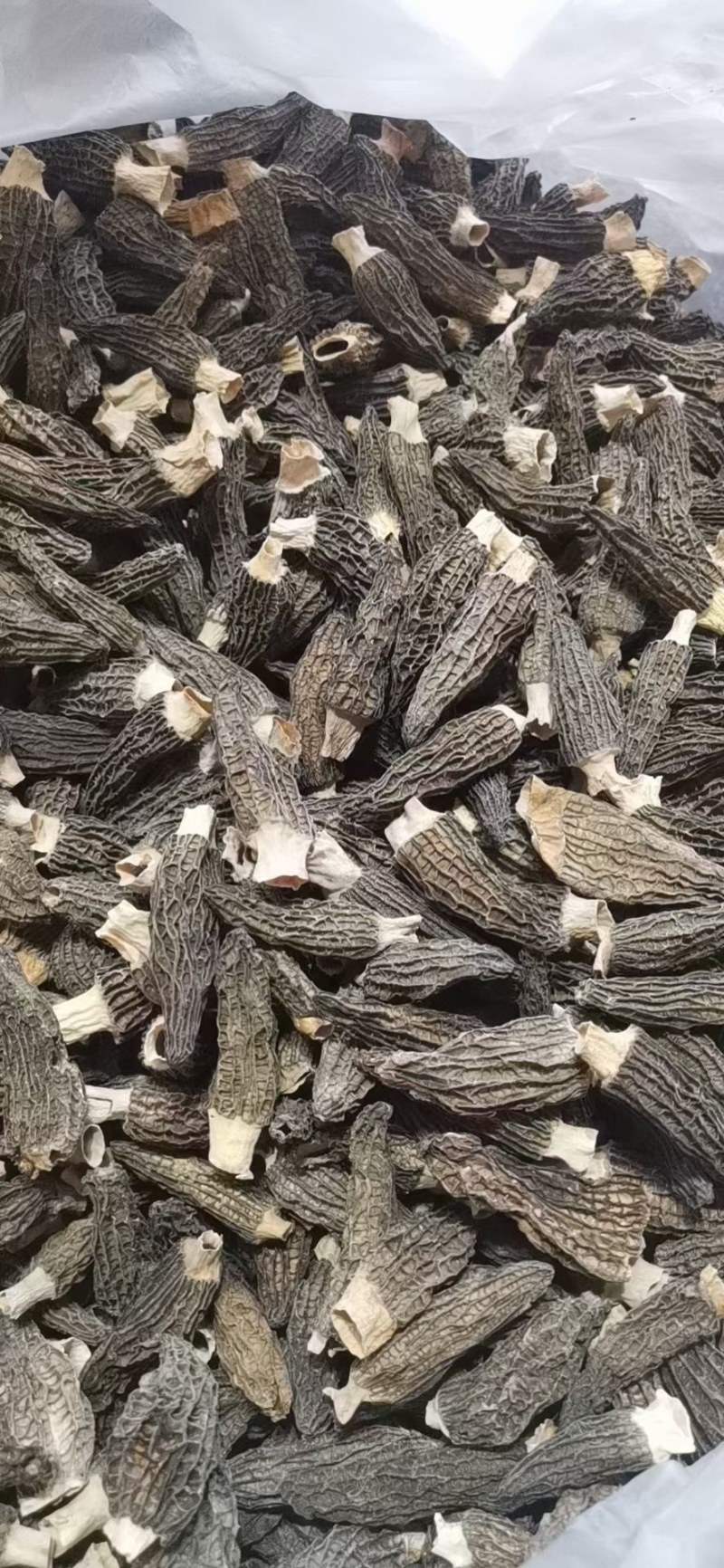 羊肚菌产地做货一手货源代发，整件发。来自大山的原生态食材