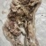 猪头肉，半成熟猪头肉量大从优，感兴趣的老板欢迎光临！