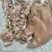 猪头肉，半成熟猪头肉量大从优，感兴趣的老板欢迎光临！