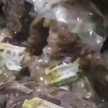优质熟牛杂，一手货源，现货出售！欢迎新老朋友关注及下单！