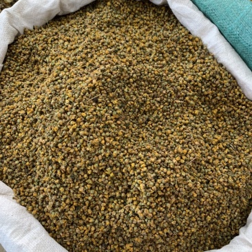 野菊花花草茶精选野菊花无添加无杂质1公斤起批