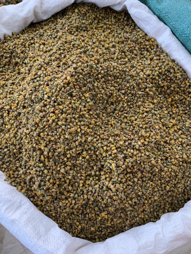野菊花花草茶精选野菊花无添加无杂质1公斤起批