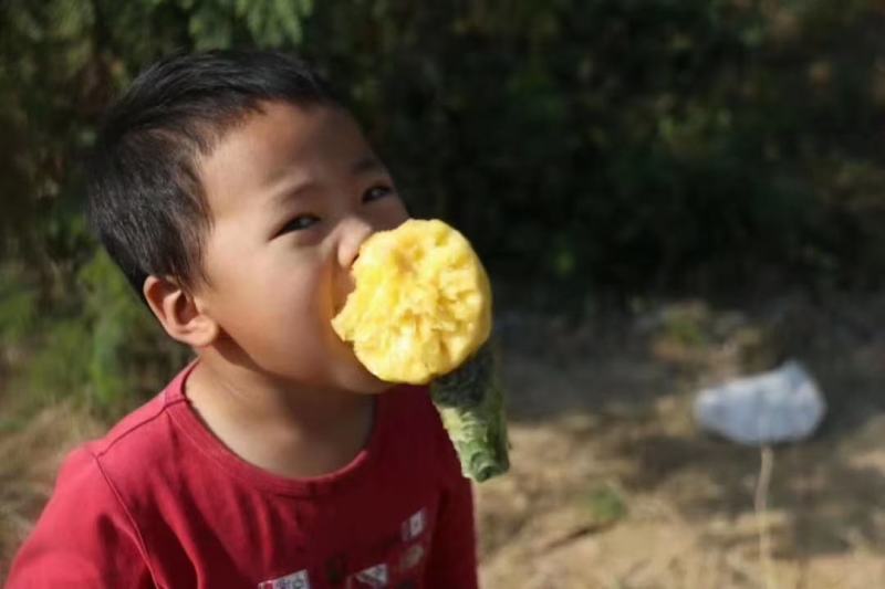 去皮小菠萝