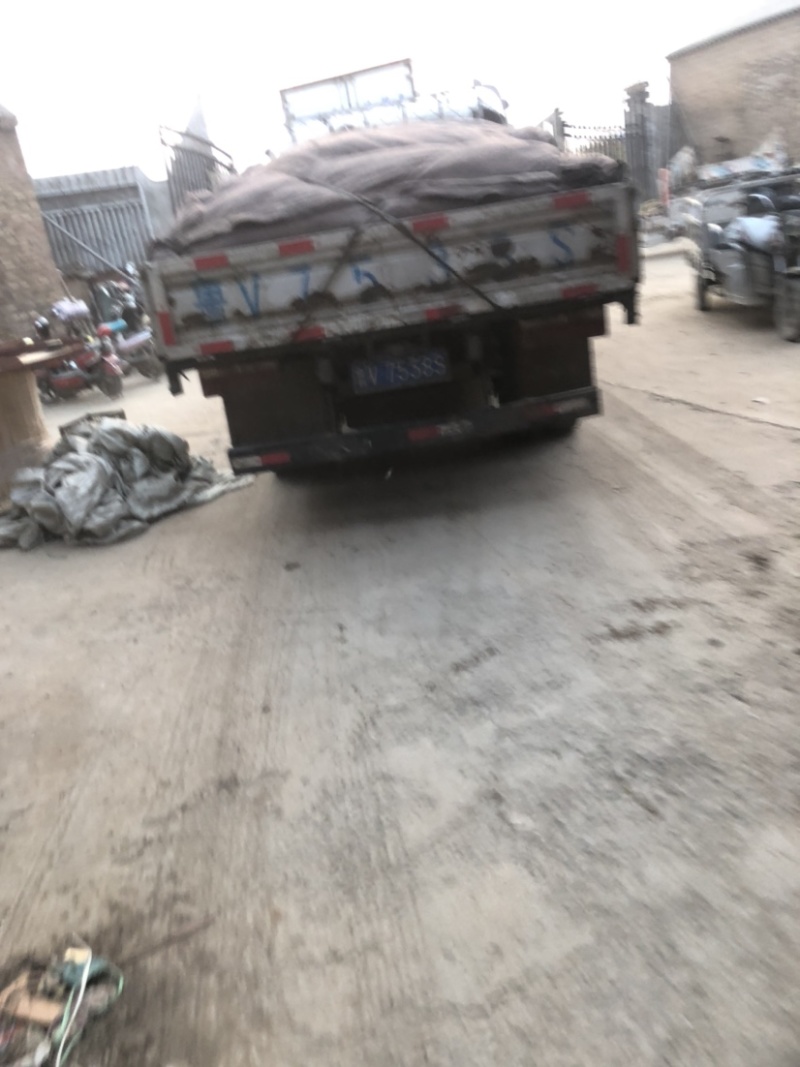 赵县雪梨**电商市场批发超市中高低档次大量有货速联系