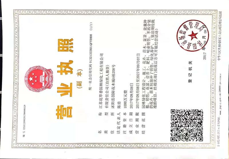 粉黛乱子草种子网红草花种籽子毛芒乱子草多年生花种子花种籽
