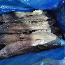 格陵兰比目鱼鸦片鱼大量现货全国供应发货量大