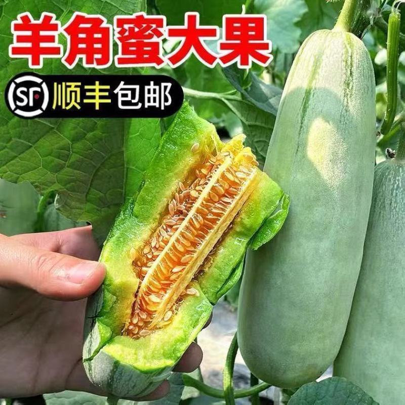 顺丰包邮坏果包赔产地直发酥脆多汁甘甜爽口网红带货