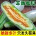 顺丰包邮坏果包赔产地直发酥脆多汁甘甜爽口网红带货